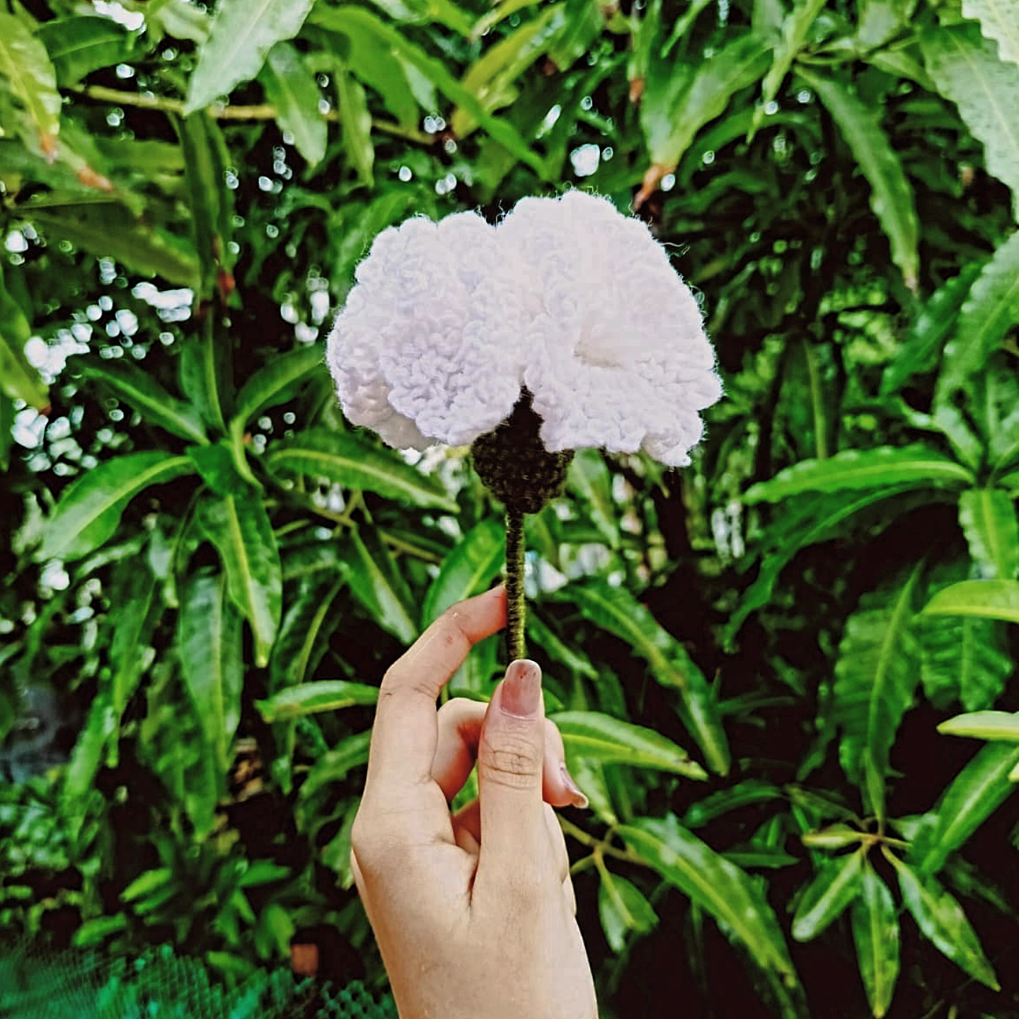 Instagram post 3