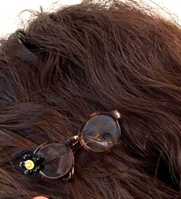 Sunflower glasses clip